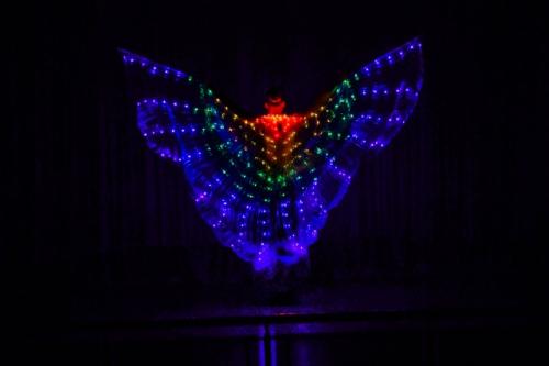 GALLERY 2025-January-27-5